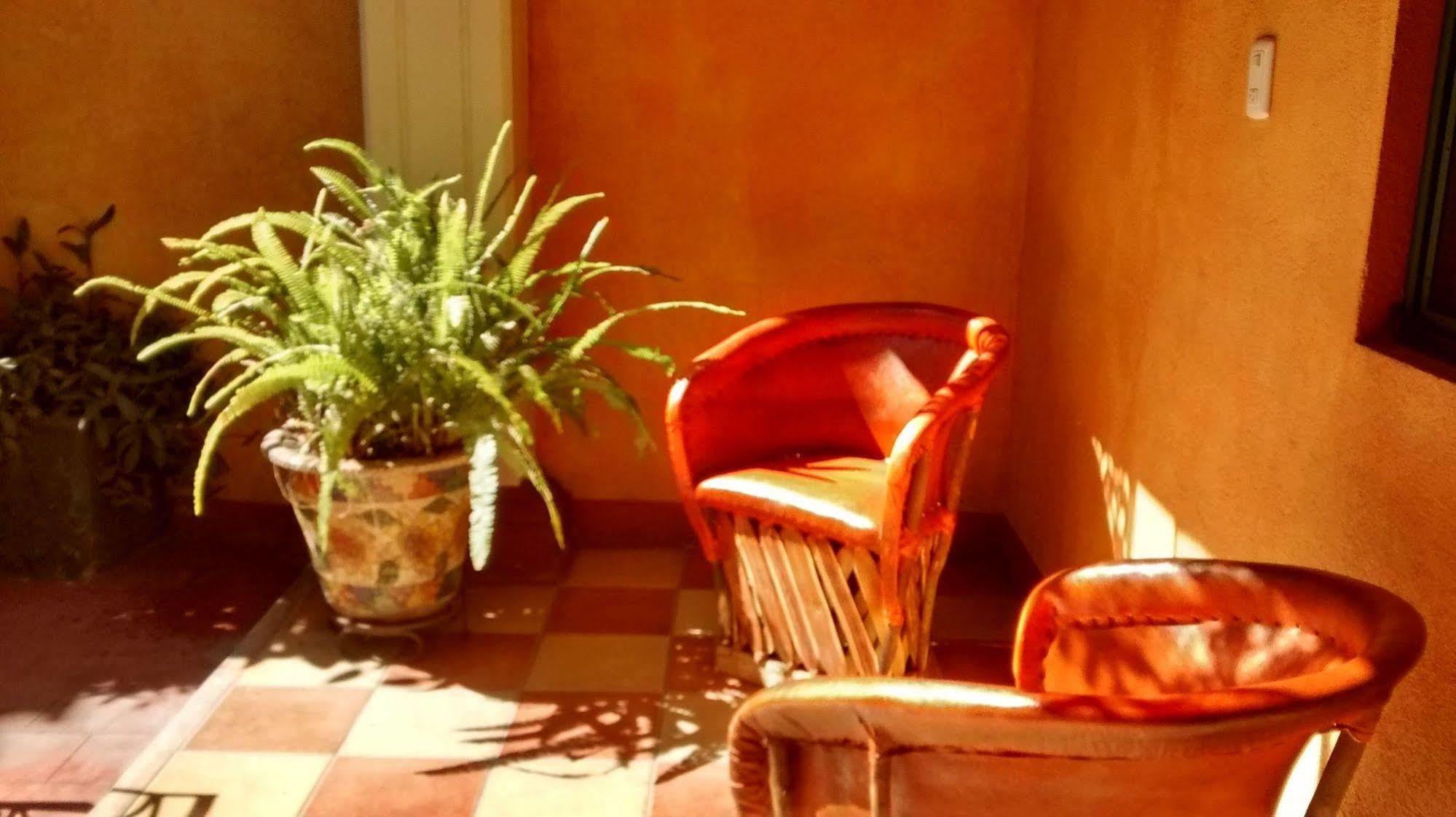 ホテル Casa Lidia オアハカ州 エクステリア 写真